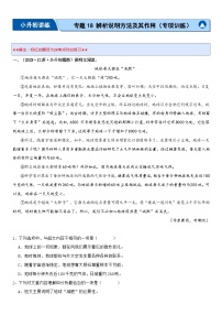 专题18 辨析说明方法及其作用（专项训练）-2024年小升初语文复习专练（统编版）