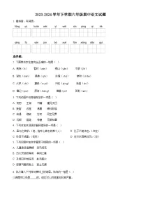 2023-2024学年江苏省南通市如皋市如城小学部编版六年级下册期中考试语文试卷