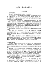 【写作技巧】小学语文小升初作文专题——5.状物类作文（讲义）