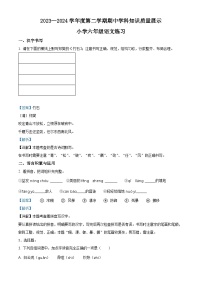 2023-2024学年广东省茂名市化州市部编版六年级下册期中考试语文试卷（学生版+教师版）