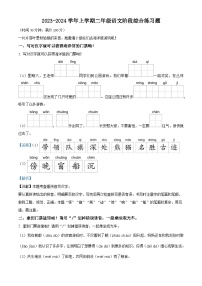 2023-2024学年山东省潍坊市昌乐县西湖小学统编版二年级上册期中考试语文试卷（学生版+教师版）