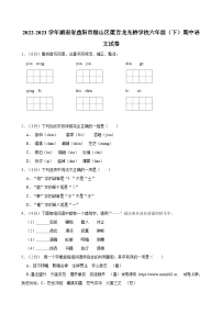 04，湖南省益阳市赫山区箴言龙光桥学校2022-2023学年六年级下学期期中语文试卷