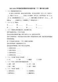 陕西省渭南市多校2023-2024学年四年级下学期期中语文试卷