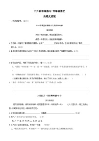 古诗文阅读+小升初专项练习（专项训练）2023-2024学年统编版语文六年级下册