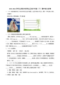 山西省大同市左云县2023-2024学年六年级下学期5月期中语文试题
