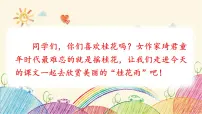 小学语文桂花雨教课内容ppt课件