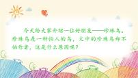 小学语文人教部编版五年级上册珍珠鸟教课课件ppt