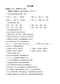 2023-2024学年四川省眉山市仁寿县部编版六年级下册期中考试语文试卷（原卷版+解析版）