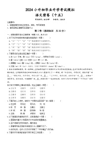 小升初毕业升学考试模拟（十五）试题-2023-2024学年统编版语文六年级下册