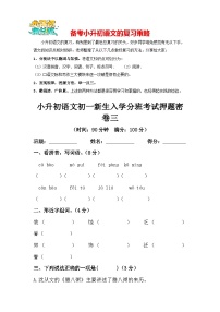 部编版小升初语文初一新生入学分班考试押题密卷03（含答案）