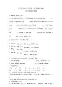 2023-2024学年部编版语文六年级上学期《期中考试题》（解析版）