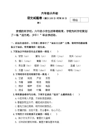 期末综合练习试卷3 -2023-2024学年语文六年级下册统编版