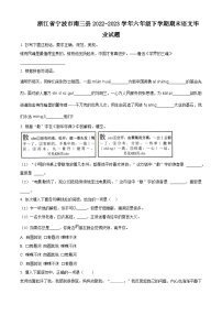 2022-2023学年浙江省宁波市南三县统编版六年级下册期末考试语文试卷（原卷版+解析版）