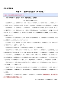 专题09 理解句子的含义（专项训练）2024年小升初语文复习暑假衔接讲练测（原卷版+解释版）