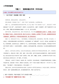 专题11 理解标题的作用（专项训练）2024年小升初语文复习暑假衔接讲练测（原卷版+解释版）