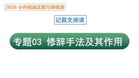 专题03 修辞手法及其作用（课件）2024年小升初语文复习暑假衔接讲练测（统编版）