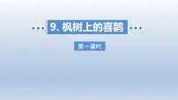 小学语文人教部编版二年级下册枫树上的喜鹊图文ppt课件