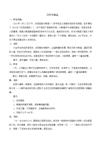 专项12+习作与表达-+2023-2024学年三年级语文下册期末专项练习+统编版