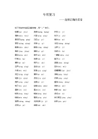 人教部编版语文【五年级下册】期末专项复习（选择正确的读音）