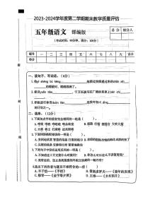 河南省周口市沈丘县多校2023-2024学年五年级下学期期末质量监测语文试卷