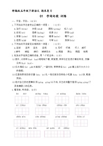 期末复习专项 01 字词 训练（原卷+答案）  2023-2024学年语文五年级下册统编版