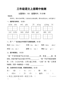 期中检测（试题）2023-2024学年统编版语文三年级上册