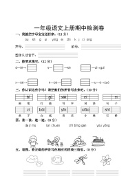 期中检测卷-2023-2024学年语文一年级上册（统编版）