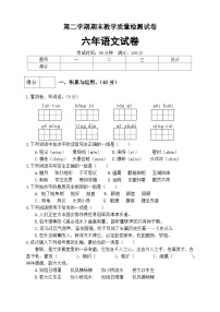 人教部编版六年级语文下册期末试卷（4）（含答案）