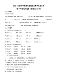 2022-2023学年河北省沧州市任丘市统编版六年级下册期末考试语文试卷（有解析）