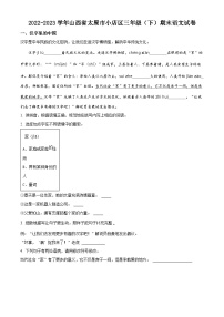 2022-2023学年山西省太原市小店区统编版三年级下册期末考试语文试卷（有解析）