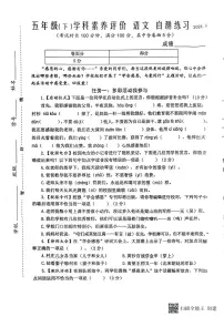 江苏省泰州市兴化市2023-2024学年五年级下学期期末语文试卷