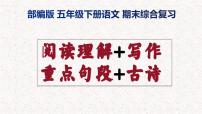 部编版五年级下册语文期末综合复习 课件（ 阅读+写作+古诗+句段） 全套 2024学年下学期