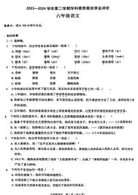 广东省深圳市龙岗区2023-2024学年六年级下学期期末检测语文试题