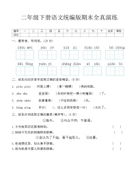 期末试题-2023-2024学年二年级下册语文统编版