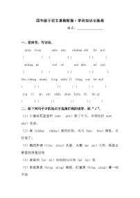 四年级下语文暑期衔接 字词知识专练卷4人教部编版  （含答案）