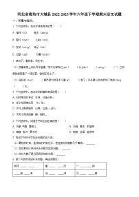 河北省廊坊市大城县2022-2023学年统编版六年级下册期末考试语文试卷（原卷版+解析版）