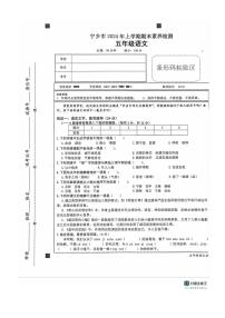 [语文][期末]湖南省长沙市宁乡市2023～2024学年五年级下学期6月期末语文试题(无答案)