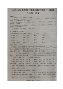 四川省成都市青白江区2023-2024学年六年级下学期期末考试语文试题