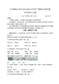 四川省乐山市马边彝族自治县2023-2024学年五年级下学期期末学情监测语文试题