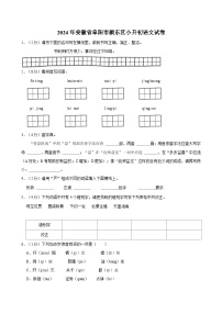 2024年安徽省阜阳市颍东区小升初语文试卷