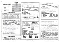 山东省菏泽市多校联考2023-2024学年三年级下学期期末检测语文试题