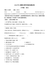 湖南省岳阳市岳阳楼区2023-2024学年统编版六年级下册期末考试语文试卷（原卷版+解析版）