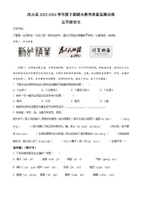 河南省周口市沈丘县2023-2024学年统编版五年级下册期末考试语文试卷（原卷版+解析版）