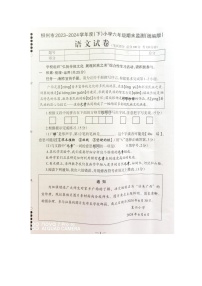 广西壮族自治区柳州市2023-2024学年六年级下学期期末语文试卷