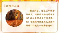 小学语文人教部编版三年级上册铺满金色巴掌的水泥道图文课件ppt