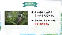 人教部编版二年级上册我是什么教案配套ppt课件