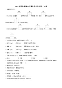 2024年河北省唐山市遵化市小升初考试语文试卷（原卷版+解析版）