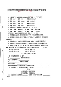 [语文]上海市闵行区2023～2024学年六年级语文下学期期末考试试题(无答案)