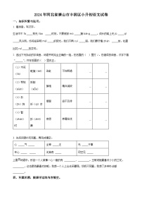 2024年河北省唐山市丰润区小升初考试语文试卷（原卷版+解析版）