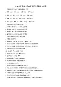 2024年辽宁省沈阳市铁西区小升初考试语文试卷（原卷版+解析版）